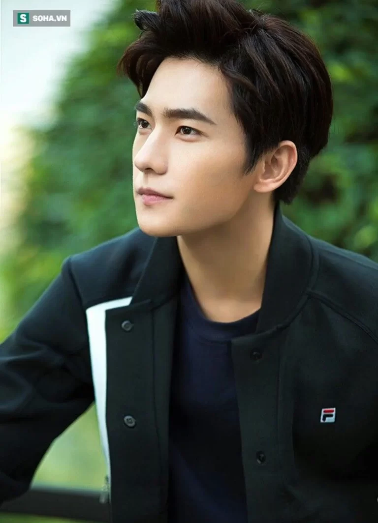 China handsome boy or actor